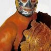 El Canek Professional Wrestler paint by number