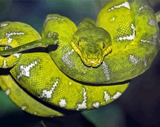 Emerald Tree Boa paint by number