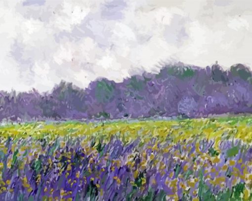 Field Of Yellow Irises At Giverny Monet paint by number