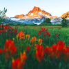 Fields Of Indian Paintbrush paint by number