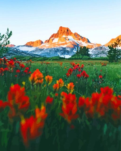 Fields Of Indian Paintbrush paint by number