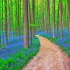 Forest With Bluebells paint by number