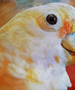 Goffins Cockatoo Art paint by number