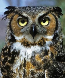 Horned Owl Bird Animal paint by number