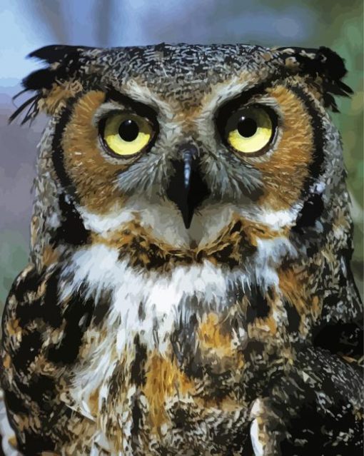 Horned Owl Bird Animal paint by number