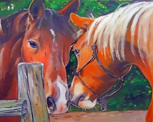 Horse Couple Animals Art paint by number