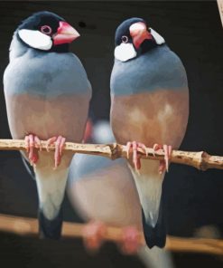 Java Sparrow Birds On A Branch paint by number