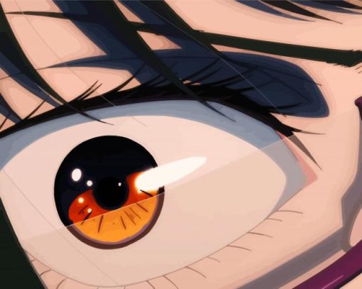 Maki Eyes Jujutsu Anime Paint by number