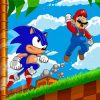 Mario And Sonic Game Characters paint by number