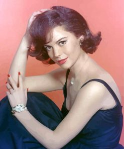 Natalie Wood paint by number