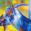 Nigerian Dwarf Goat Side Profile paint by number