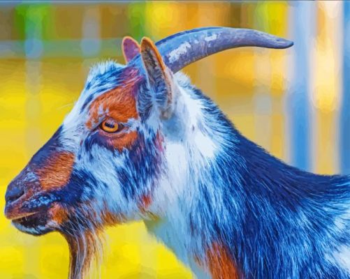 Nigerian Dwarf Goat Side Profile paint by number