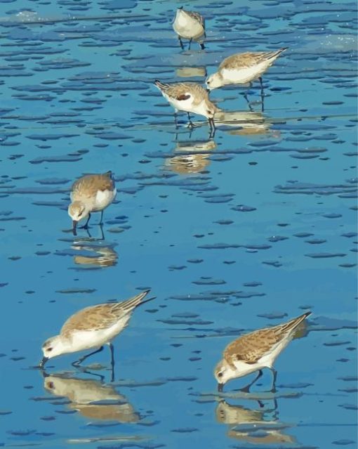 Ocean Sandpipers Art paint by number