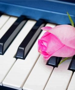 Pink Rose Flower On Piano paint by number