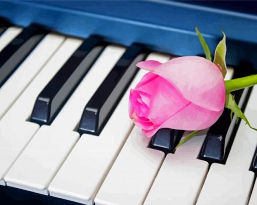 Pink Rose Flower On Piano paint by number