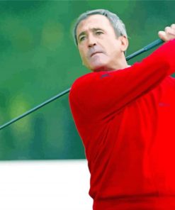 Professional Golfer Seve Ballesteros paint by number
