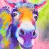 Rainbow Donkey Art paint by number