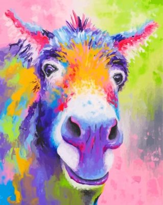 Rainbow Donkey Art paint by number