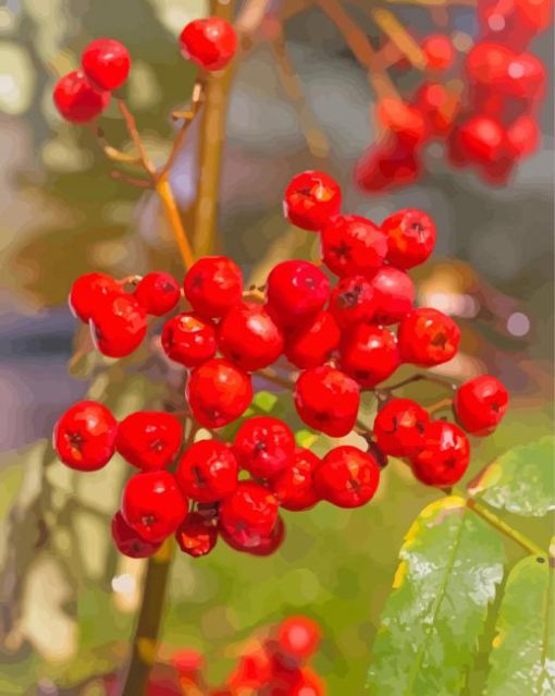 Red Rowanberry paint by number