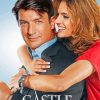 Richard Castle And Beckett paint by number