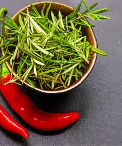Rosemary And Chili Pepper paint by number