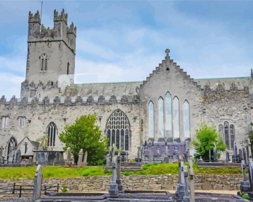 Saint Marys Cathedral Limerick paint by number