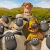 Shaun The Sheep Characters paint by number