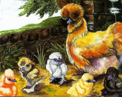 Silkie Chicken Birds paint by number