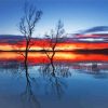 Sunset Tasmania Water Reflection paint by number