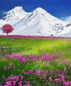 Swiss Landscape Nature paint by number