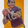 Terry Bradshaw Art paint by number