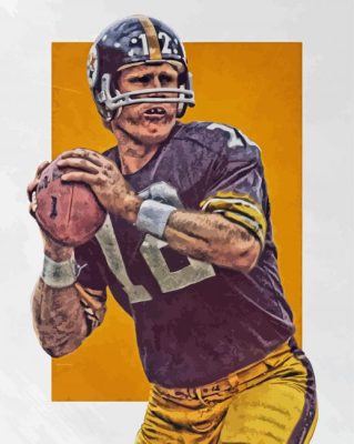 Terry Bradshaw Art paint by number