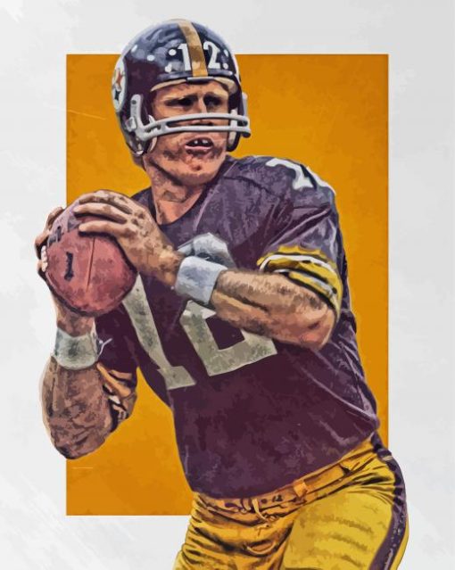Terry Bradshaw Art paint by number
