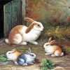 The Four Rabbits paint by number