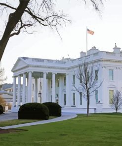 The White House USA Paint by number