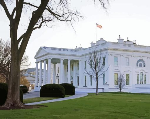 The White House USA Paint by number