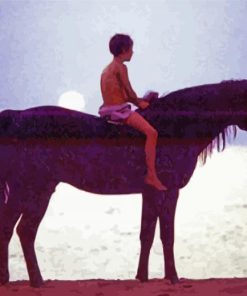 The Black Stallion Movie Character paint by number