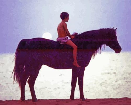 The Black Stallion Movie Character paint by number