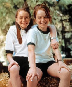 The Parent Trap Characters paint by number