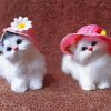 Toy Cats In Hats paint by number