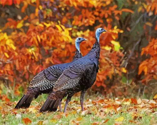 Turkey In The Fall paint by number