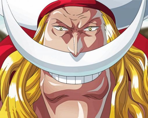 Whitebeard Face paint by number