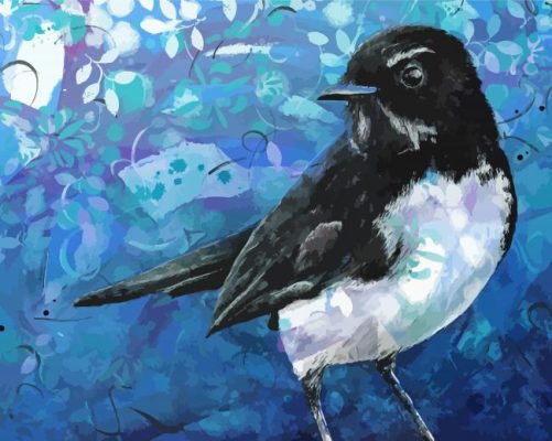 Willie Wagtail Art paint by number