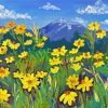 Yellow Daisy Field Landscape paint by number
