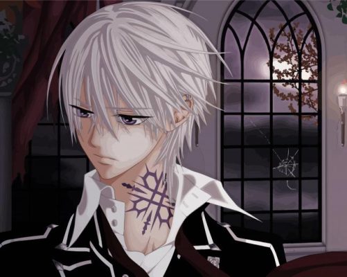 Zero Kiryu Vampire Knight paint by number