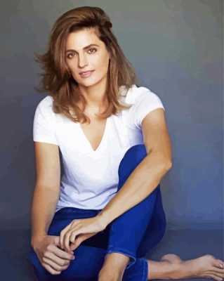 Actress Stana Katic paint by number