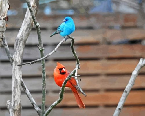 Aesthetic Red And Blue Birds paint by number