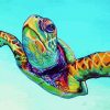 Aesthetic Ridley Sea Turtle paint by number