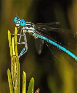 Aesthetic Damsel Fly paint by number