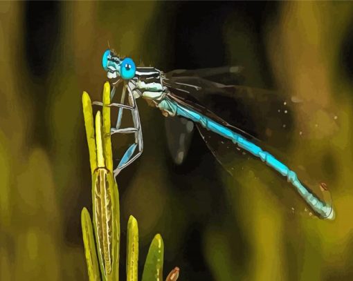 Aesthetic Damsel Fly paint by number